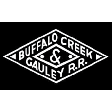 Buffalo Creek & Gauley Railroad